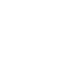Valoración visual integral